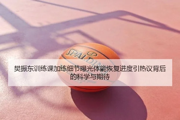 樊振东训练课加练细节曝光体能恢复进度引热议背后的科学与期待
