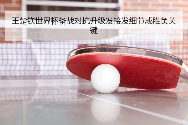 王楚钦世界杯备战对抗升级发接发细节成胜负关键